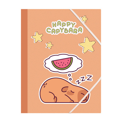 Teczki na dokumenty SPREE na gumkę A4 CAPYBARA