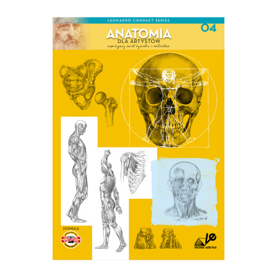 Anatomia dla artystów. Tom 4. LEONARDO COMPACT SERIES