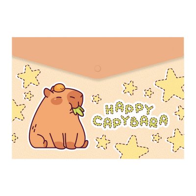 Teczki, koperty SPREE na zatrzask A4 CAPYBARA