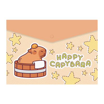 Teczki, koperty SPREE na zatrzask A5 CAPYBARA