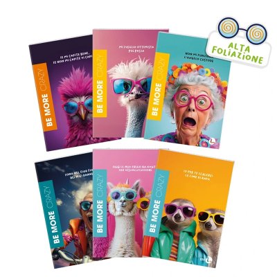 Zeszyt BE MORE CRAZY 96 stron