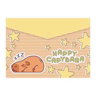 Teczki, koperty SPREE na zatrzask A5 CAPYBARA